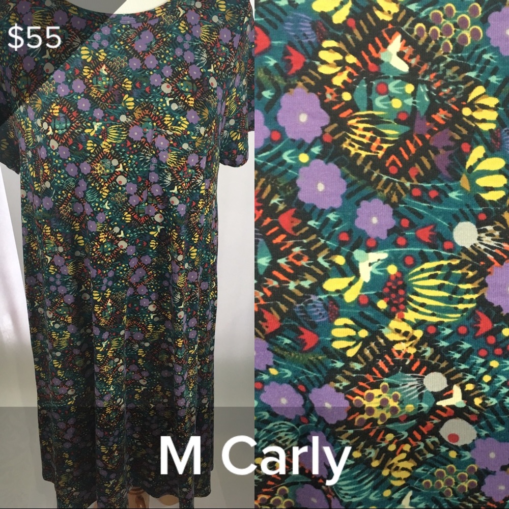 🆕 LuLaRoe Carly Dress